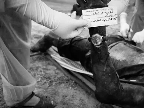 Điều tra vụ thi thể nổi trên hồ, lưng đeo ba lô chứa tảng đá lớn ở Đà Nẵng: Đặc điểm nhận dạng của nạn nhân