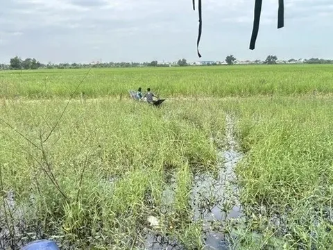 Sau hai ngày mất tích, người đàn ông 29 tuổi được tìm thấy tử vong giữa đồng lúa, trên người không mảnh vải che thân