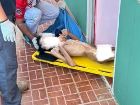 Nghiện nước cây “kích thích” khiến chàng trai 23 tuổi gầy rộc, chỉ còn da bọc xương, nằm bất động giữa căn phòng bừa bộn