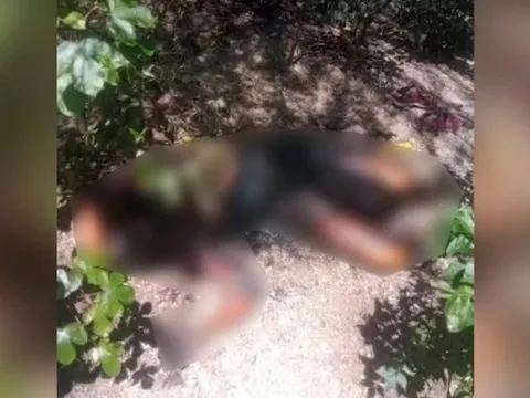 Cô gái trẻ mất tích sau buổi phỏng vấn xin việc, được tìm thấy tử vong giữa khu rừng