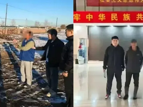 Mất trắng đàn bò vì hàng xóm "phát cuồng" với hot girl mạng