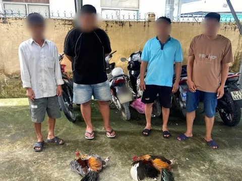 Bắt quả tang 4 đối tượng đá gà ăn tiền