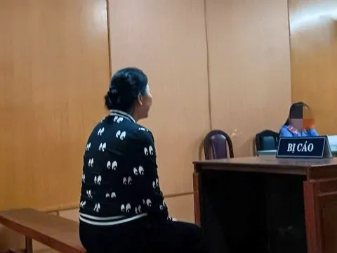 Thay chồng "hờ" gánh vác công ty, người phụ nữ làm chuyện phạm pháp, lĩnh án 15 năm tù