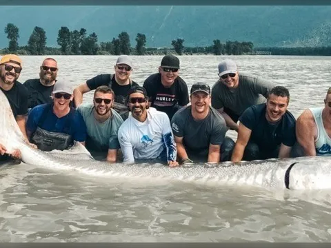 Khoảnh khắc "thủy quái nước ngọt" khổng lồ trồi lên mặt nước khiến nhóm ngư dân choáng váng, hiếm tới mức cả thập kỷ mới thấy một lần