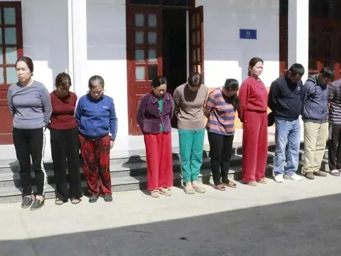 Bắt giữ nhiều "quý bà" làm điều "mờ ám" giữa rừng