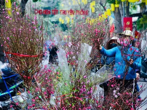 Lịch nghỉ Tết Dương lịch 2026, Tết Âm lịch 2026 cho cán bộ công chức, người lao động, giáo viên, học sinh đầy đủ, chi tiết nhất