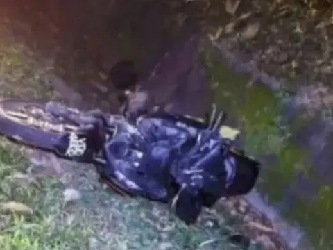 Tông trúng voi trên cao tốc, con vật "nổi điên" phá nát xe máy khiến nạn nhân phải bỏ chạy thoát thân