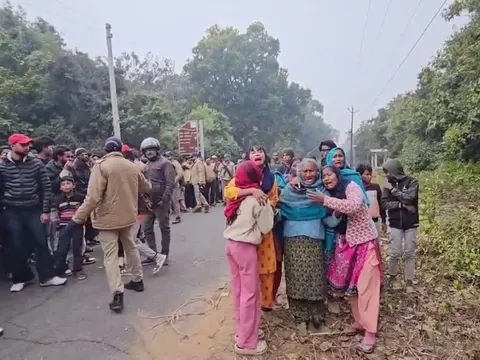 Bị hổ vồ, người phụ nữ tử vong thương tâm