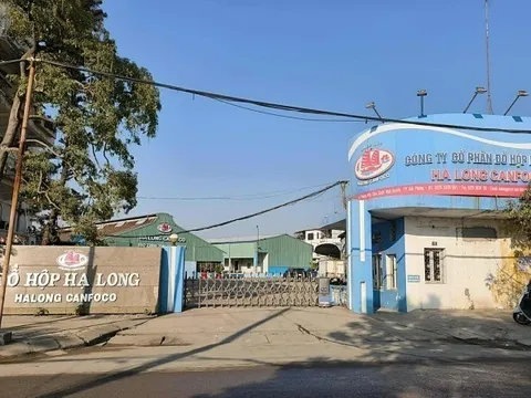 Khởi tố Tổng giám đốc Công ty Cổ phần Đồ hộp Hạ Long