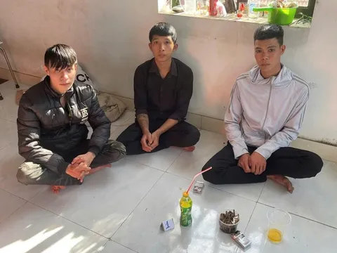 Lê Đăng Khoa bị bắt