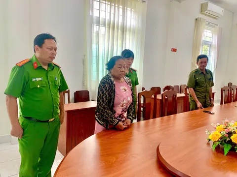 Khởi tố, bắt tạm giam Võ Thị Kim Hoàng