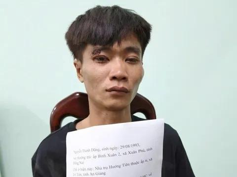 Bắt đối tượng trộm xe tải trong ngày mùng 6 Tết