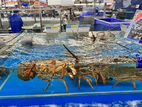 Việt Nam vừa đón một tin cực vui từ Trung Quốc