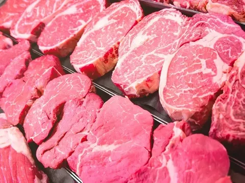 Bữa ăn trong chuyến cắm trại và cái kết đau lòng của thiếu niên 16 tuổi