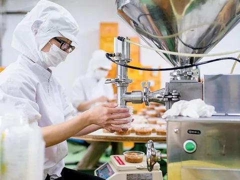 Những ngành nghề nào được dự báo sẽ 'khát' lao động sau tết Nguyên đán 2026?