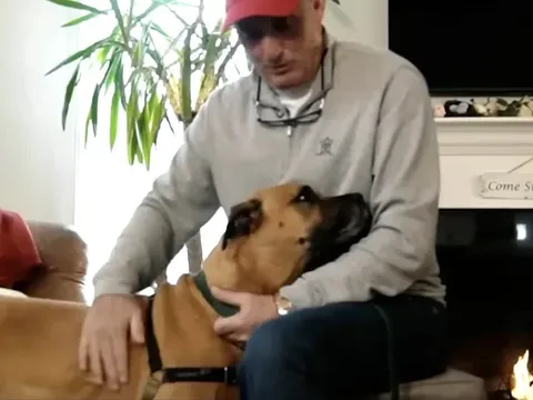 Chú chó bỗng sủa dữ dội trước một ngôi nhà quen thuộc, khoảnh khắc sau đó khiến người chủ không thể quên