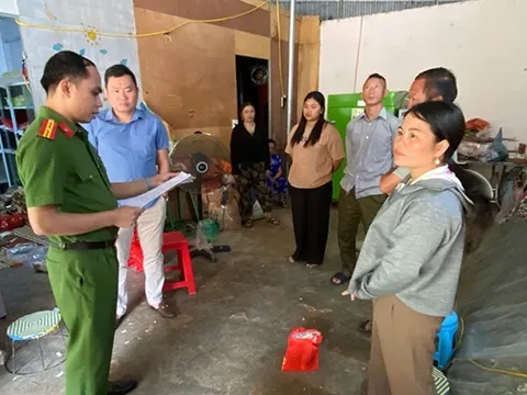 Tự hái cây rừng để làm "thuốc nam gia truyền", người phụ nữ bị khởi tố