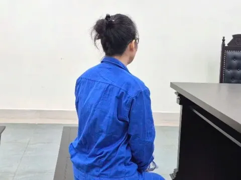 Nữ kế toán 22 năm tù vì lừa 'chạy' sổ đỏ, chiếm đoạt hơn 10 tỷ đồng