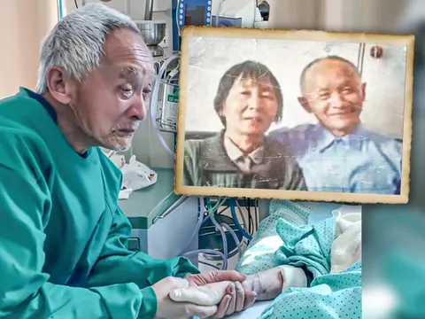 Mỗi ngày đi 12 tiếng chỉ để nắm tay vợ 30 phút, câu chuyện khiến nhiều người đọc xong không cầm được nước mắt