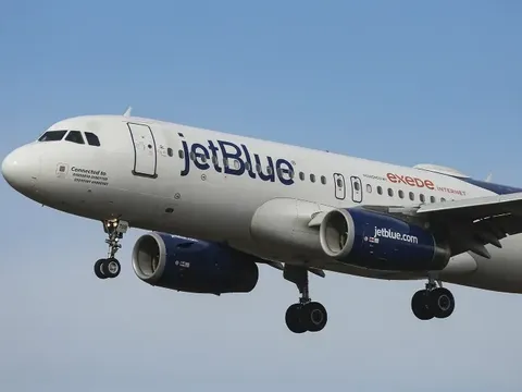 Máy bay phải quay đầu khẩn cấp chỉ vì va chạm với... chó sói