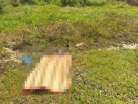 Phát hiện người đàn ông tử vong trong rừng dương sau 3 ngày mất tích: Con trai ngã quỵ, ngồi sụp bên cạnh thi thể cha