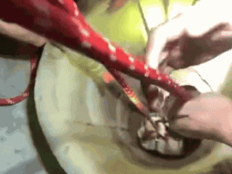 Chỉ một phút sơ sẩy, cô gái 22 tuổi rơi xuống giếng sâu: Cảnh giải cứu khiến nhiều người không dám rời mắt