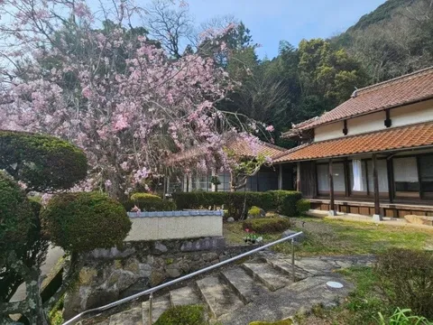 Bỏ tiền tỷ mua nhà hoang tại Nhật, mở cửa ra mới biết bên trong là cả một “cơn ác mộng” sửa chữa