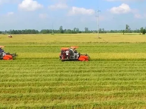 Quy định về hỗ trợ khi thu hồi đất nông nghiệp