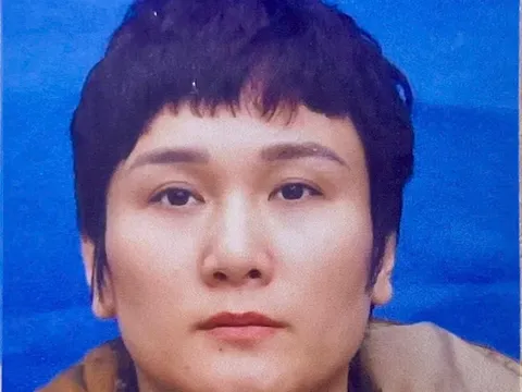 Khởi tố bị can Lê Thị Mai về tội "Lợi dụng các quyền tự do dân chủ xâm phạm lợi ích của Nhà nước, quyền, lợi ích hợp pháp của tổ chức, cá nhân"