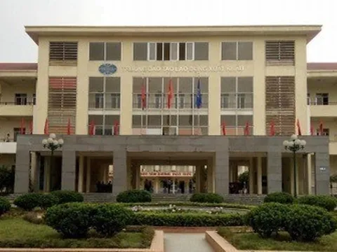 Vì sao Chủ tịch và Tổng Giám đốc Công ty Sona bị khởi tố?