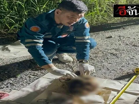 Phát hiện hộp sọ người bọc trong túi nilon ở Thái Lan, hé lộ danh tính nạn nhân