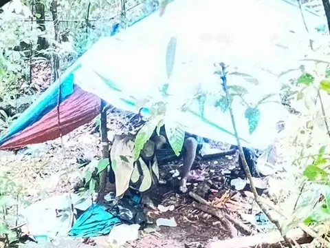 Phát hiện thi thể người đàn ông trong rừng sâu ở Lâm Đồng: Xác định danh tính nạn nhân