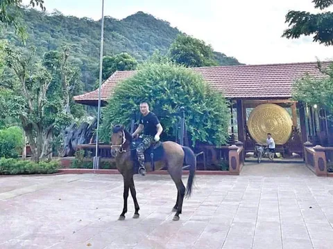 Thú chơi "có 1-0-2" của trùm giang hồ Vi "ngộ" ở Thanh Hóa