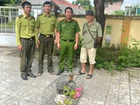 Phát hiện con vật "lắm lông, mặt đỏ", thích sống bầy đàn, người dân bắt giữ giao ngay cho công an