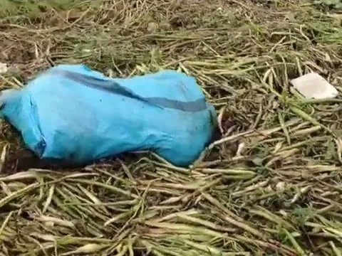 Phát hiện thi thể cô gái 28 tuổi trong bao tải xanh: Lật tẩy tội ác rùng rợn của gã nhân tình