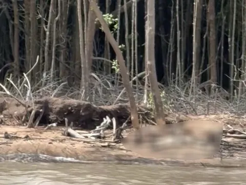 Vụ 2 cậu cháu phát hiện thi thể ở bìa rừng Cà Mau: Thi thể không rõ giới tính, bị mất cả 2 bàn tay, chân, không mặc quần áo…