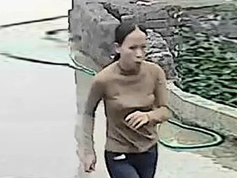 Người phụ nữ "mất tích bí ẩn" khi đi bắt ốc đá ở Ninh Bình: Nạn nhân sống một mình, không chồng con, khu vực tìm ốc có nhiều đá tai mèo