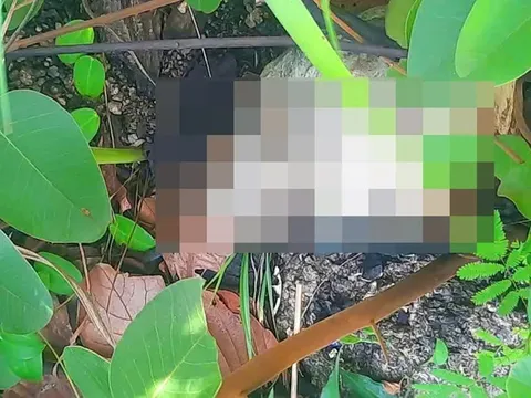 Phát hiện bộ xương người ở Gia Lai: Hiện trường có gì?