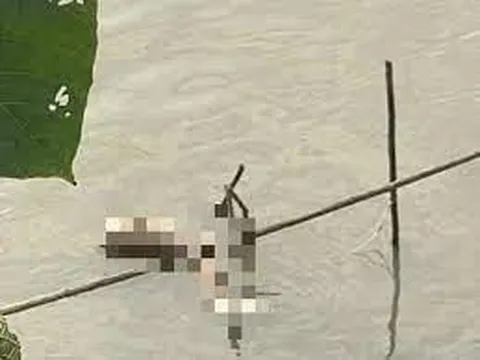 Phát hiện thi thể nam giới đang phân hủy ở gần cầu Nhật Tân, Hà Nội: Nạn nhân có đặc điểm gì?