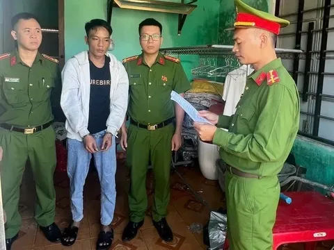 Bắt Nguyễn Chế Linh, vì sao?