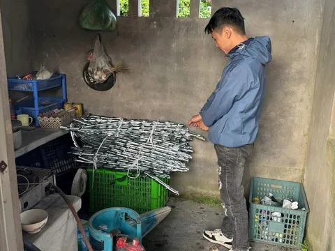 Công an triệu tập Nguyễn Thế Anh- nghi phạm cắt trộm 121m dây cáp điện ở Hải Phòng