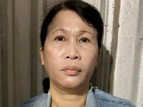 Nguyễn Thị Bích Lệ bị bắt giữ khi đang lẩn trốn ở đâu?