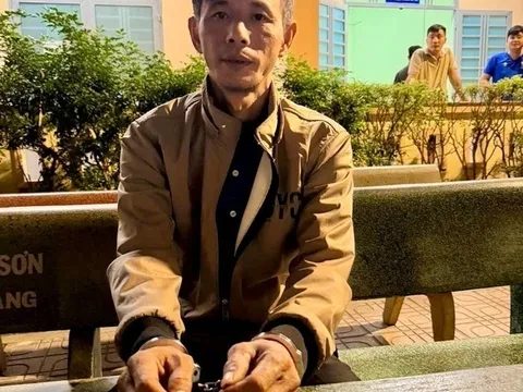 Nguyễn Ngọc Lan bị bắt