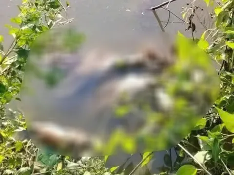 Vụ thi thể thiếu nữ 13 tuổi dưới vuông nước ở Cà Mau: Xác định danh tính nạn nhân, tiết lộ manh mối về nghi phạm