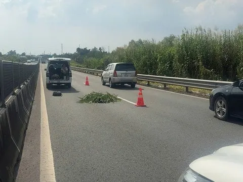 Vụ thi thể người nước ngoài trên cao tốc Trung Lương: Hé lộ danh tính nạn nhân, 2 nghi can vừa bị bắt là ai?