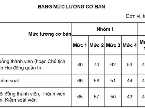 Bảng lương cơ bản mới chạm mốc 30.000.000 đồng chưa bao gồm phụ cấp, thưởng,...áp dụng cho đối tượng nào theo Nghị định 248?