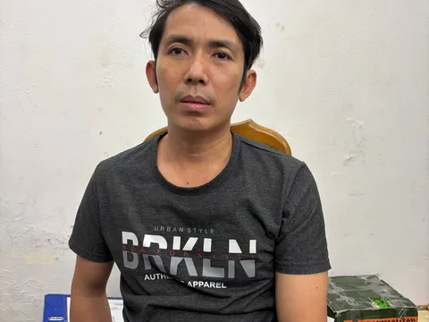 Bắt giữ Nguyễn Hoàng Nghĩa