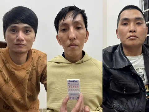 Tạm giữ khẩn cấp Nguyễn Văn Hoà và đồng phạm