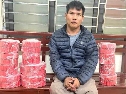 Bắt giữ Nguyễn Tiến Trường