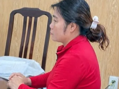 Tạm giữ hình sự Lê Thị Hà, vì sao?